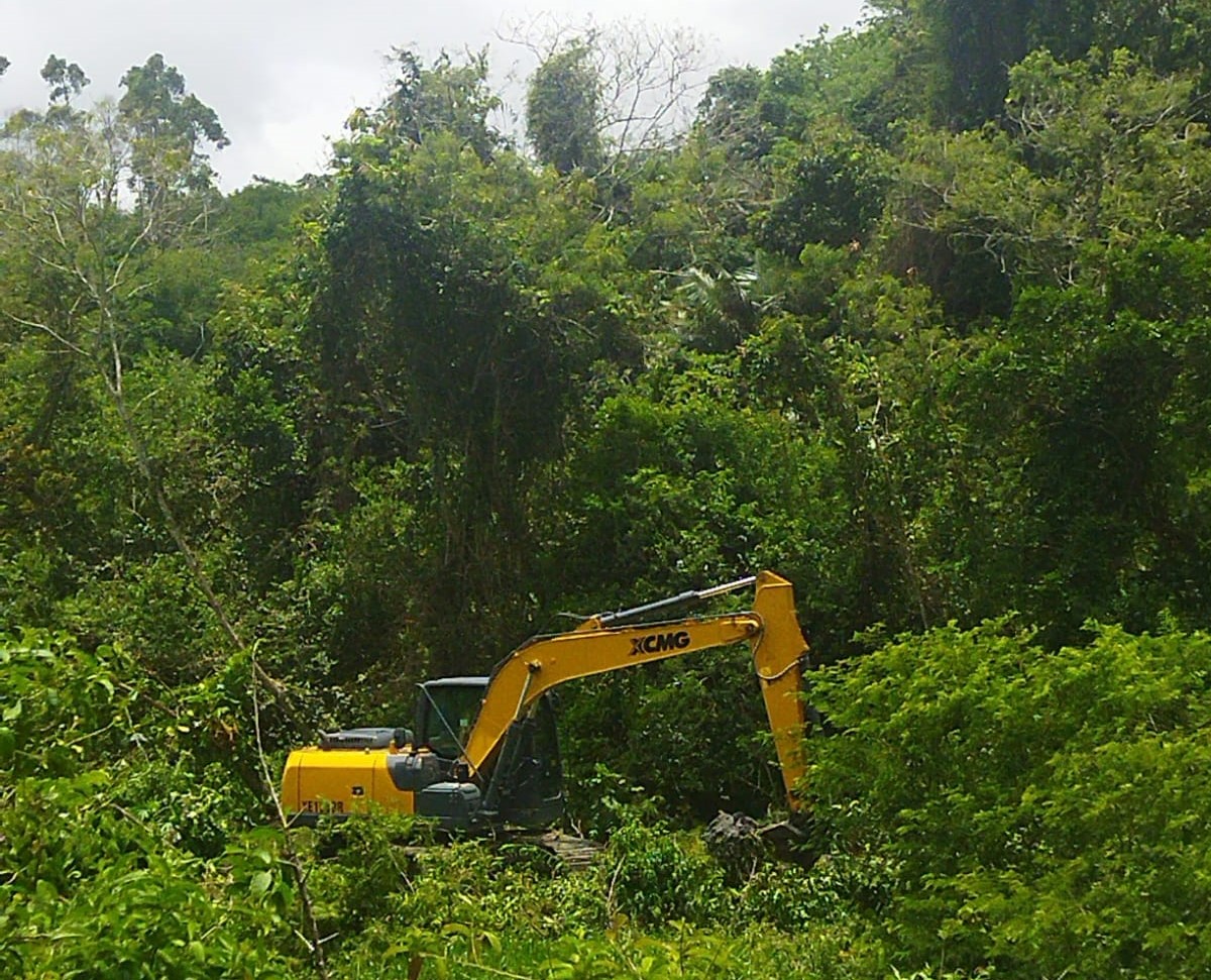 MÚLTIPLAS FRENTES DE TRABALHO PARA REPARAR OS DANOS CAUSADOS PELOS TEMPORAIS DE NOVEMBRO