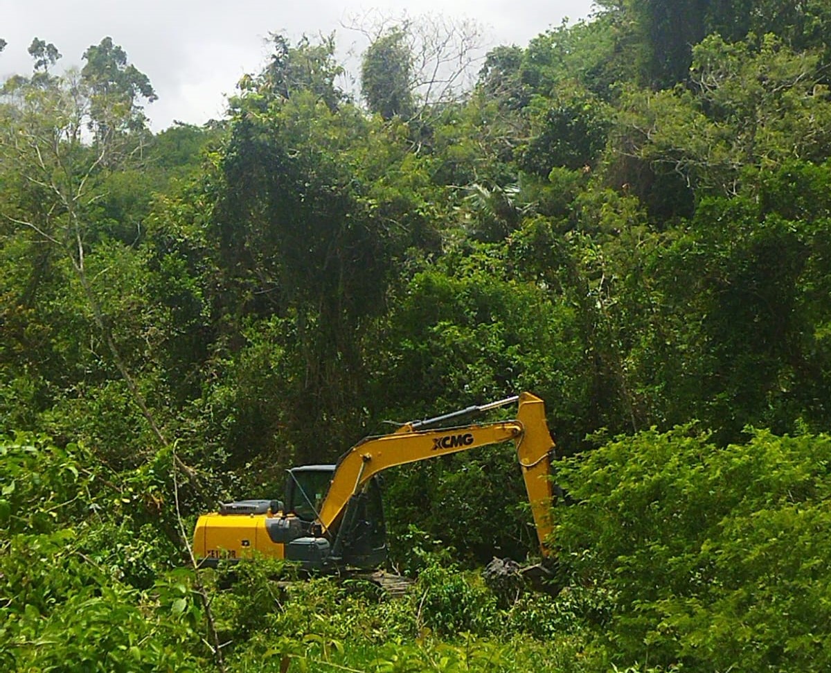 MÚLTIPLAS FRENTES DE TRABALHO PARA REPARAR OS DANOS CAUSADOS PELOS TEMPORAIS DE NOVEMBRO