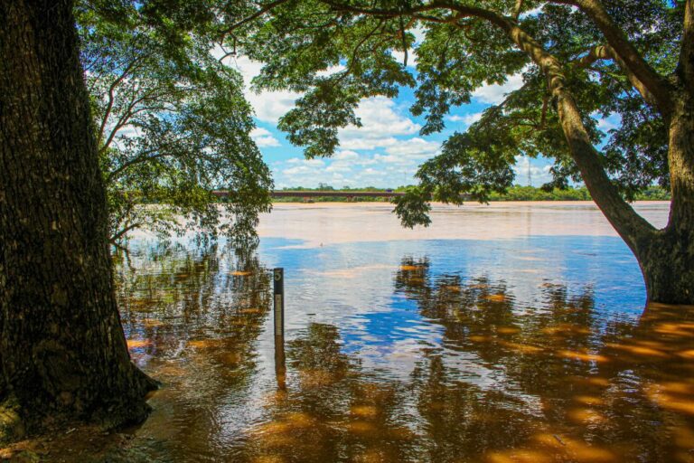 Chuvas: nível do rio Doce recua e Defesa Civil permanece em alerta   		