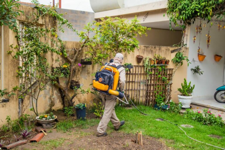 Dengue: Vigilância alerta população sobre a infestação do mosquito transmissor e pede a colaboração dos moradores