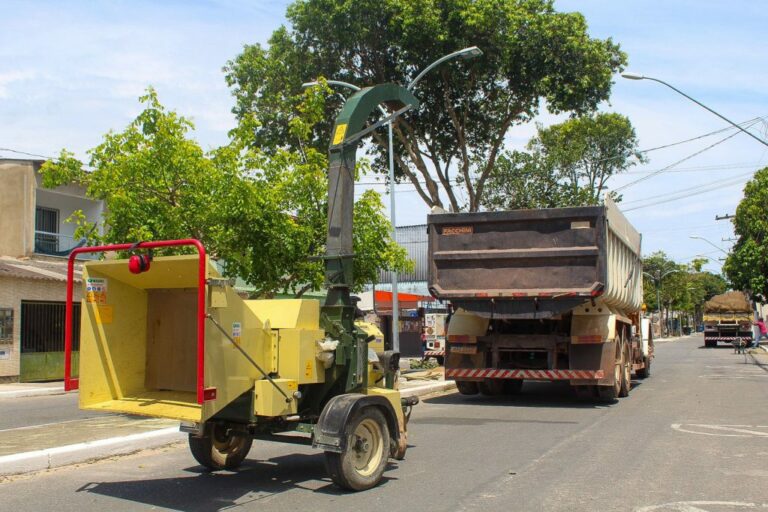 Interlagos: Prefeitura de Linhares realiza poda de árvores para instalar luminárias de led na Vasco Fernandes Coutinho