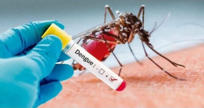 Prefeitura de Barra de São Francisco inicia campanha contra a dengue
