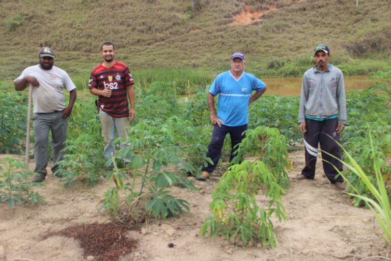 Hortões municipais fecham 2022 com produção de 17.985 kg de legumes e 2.023 caixas de verdura