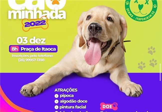 A CÃOMINHADA 2022 ESTÁ CHEGANDO! 