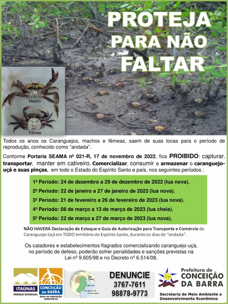 Período de andada do caranguejo-uçá começa no dia 24 de dezembro
