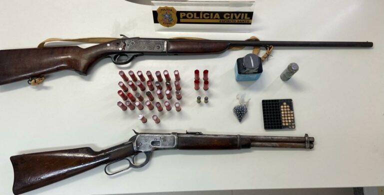 Polícia Civil recupera veículo com restrição de furto e apreende armas em Vila Valério   