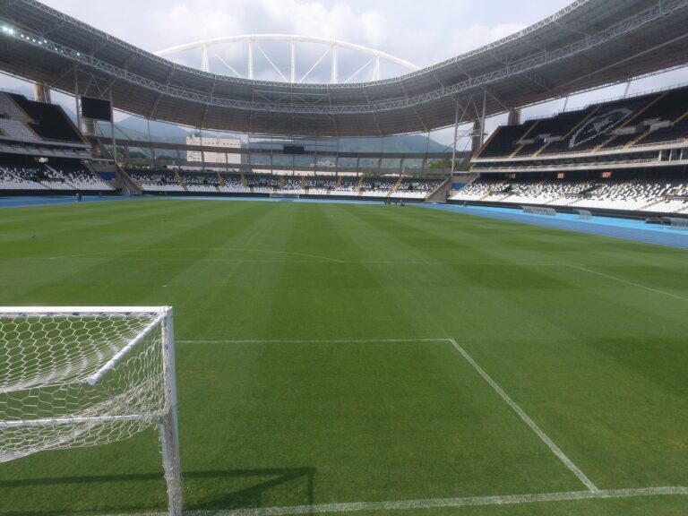 Botafogo anuncia que gramado do Nilton Santos será sintético