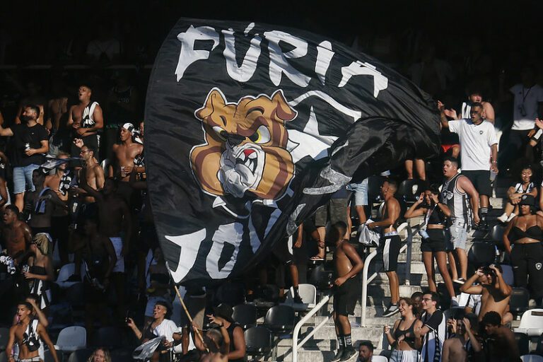 Botafogo inicia a troca de gramado do estádio Nilton Santos