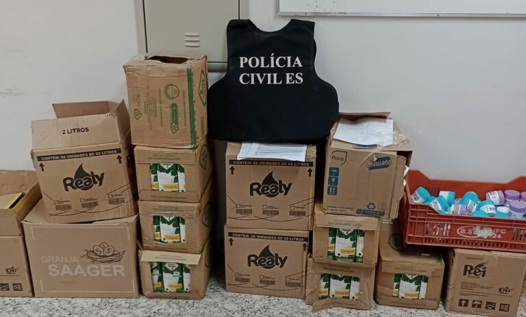 Polícia Civil recupera produtos furtados de caminhão tombado em Rio Novo do Sul
