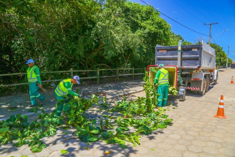 Prefeitura realiza poda de árvores em Pontal do Ipiranga   		