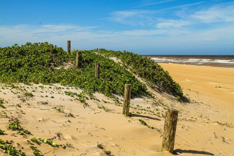 Prefeitura reforça proteção ambiental nas áreas de restinga durante o verão nas praias de Linhares   		