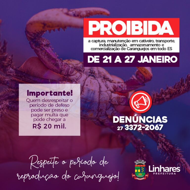 Segunda andada do caranguejo-uçá começa no próximo dia 21   		