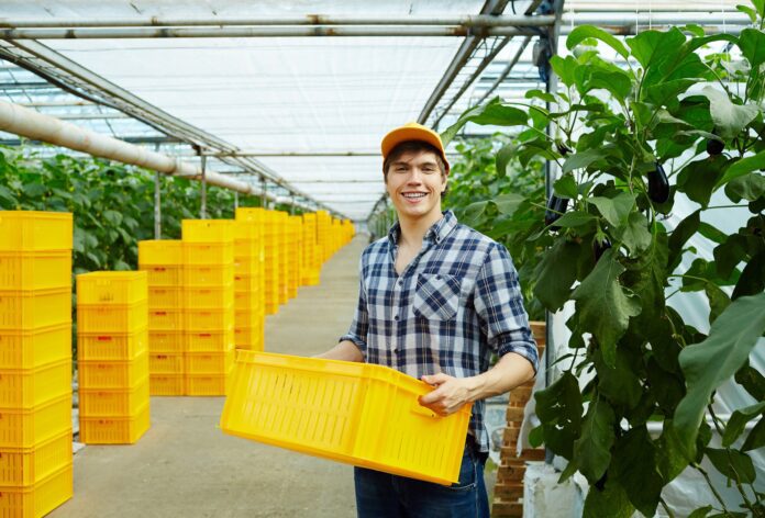 Bandes oferece novas linhas de financiamento para a agroindústria