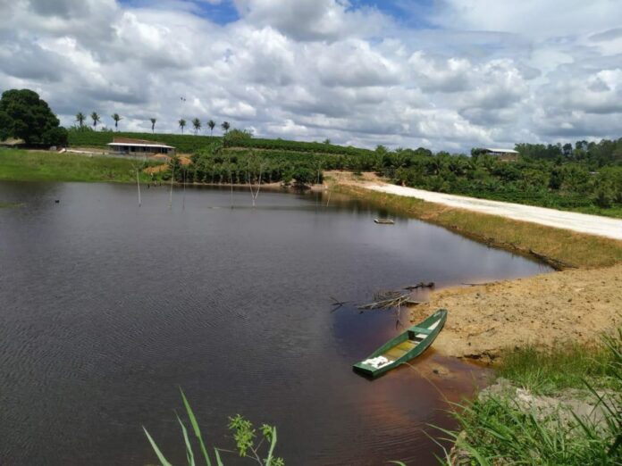 Abertas as inscrições do processo seletivo para construção de seis novas barragens em Linhares   		