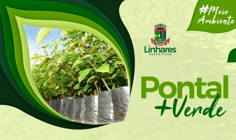 Prefeitura realiza o plantio de 200 árvores no Pontal do Ipiranga   		
