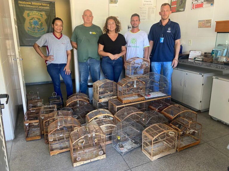 31 aves silvestres em situação irregular são apreendidas em Piúma