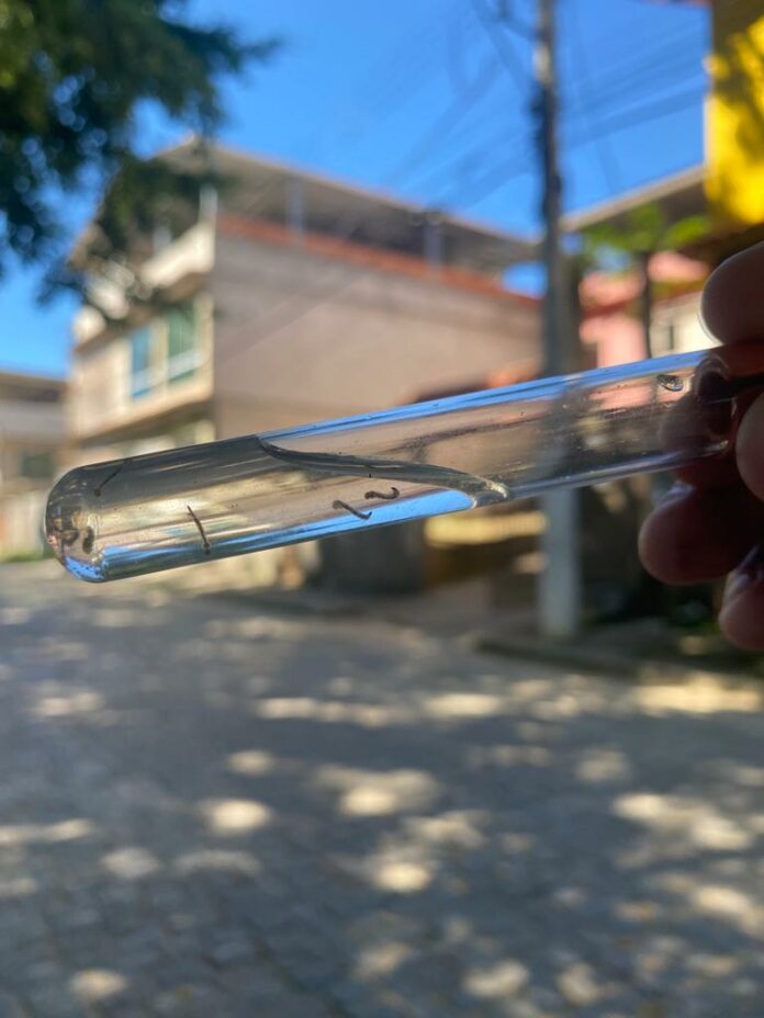 Combate à dengue é ação contínua da Prefeitura de Presidente Kennedy