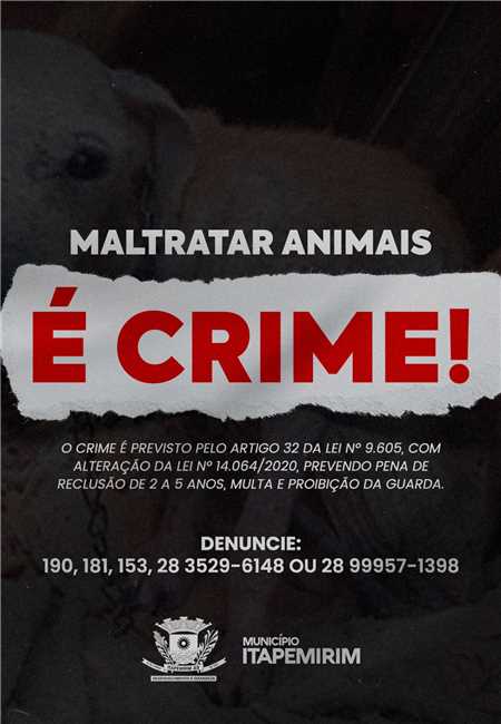 Maltratar animais é crime, veja como denunciar!