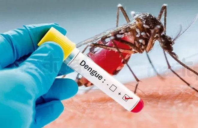 Veja ranking de cidades com maiores notificações de dengue no ES