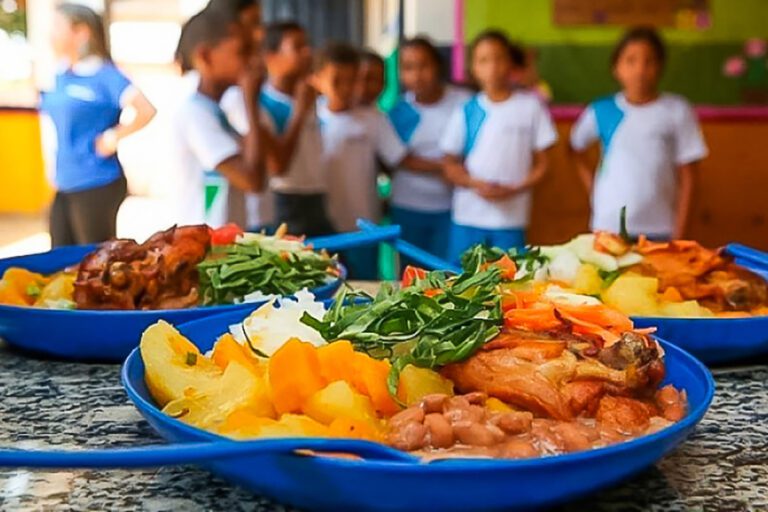 Colegiados debatem alimentação escolar