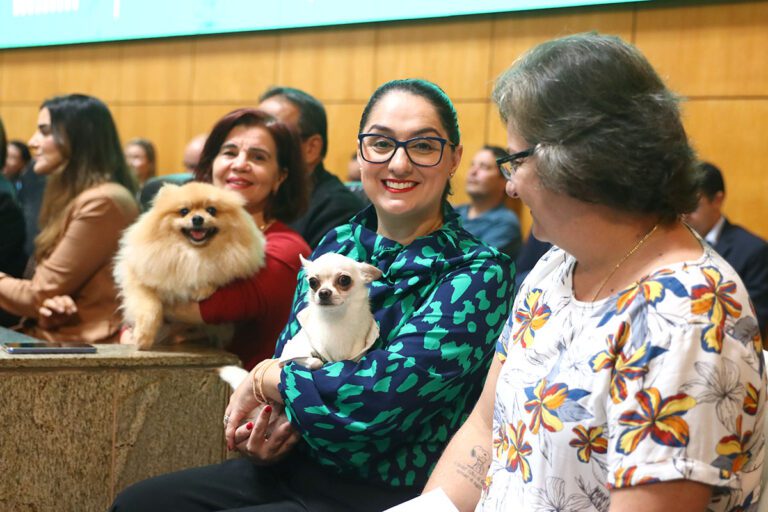 Comissão quer reforçar luta em prol de animais