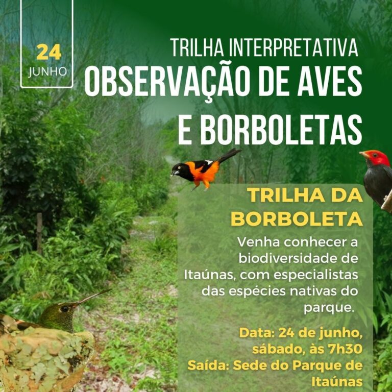 Dia 24 de junho será realizada uma caminhada pela Trilha da Borboleta em Itaúnas