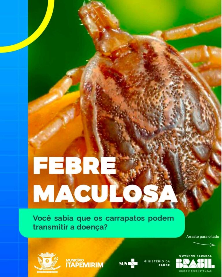 ALERTA FEBRE MACULOSA