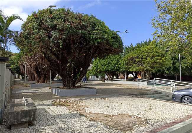 SERVIÇO DE PODA PARA DEIXAR PRACINHA MAIS BONITA