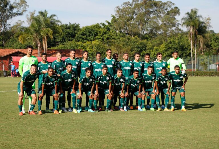 Botafogo x Palmeiras: informações e onde assistir ao jogo pelo Brasileirão sub-20