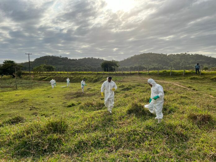 Vigilância Ambiental realiza trabalho de prevenção da febre maculosa em Presidente Kennedy