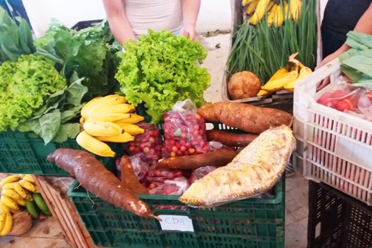 Aprovada mudança em programa de compra de alimentos