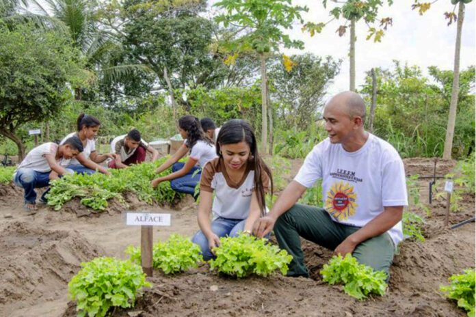 Deputada quer dados sobre educação no campo 