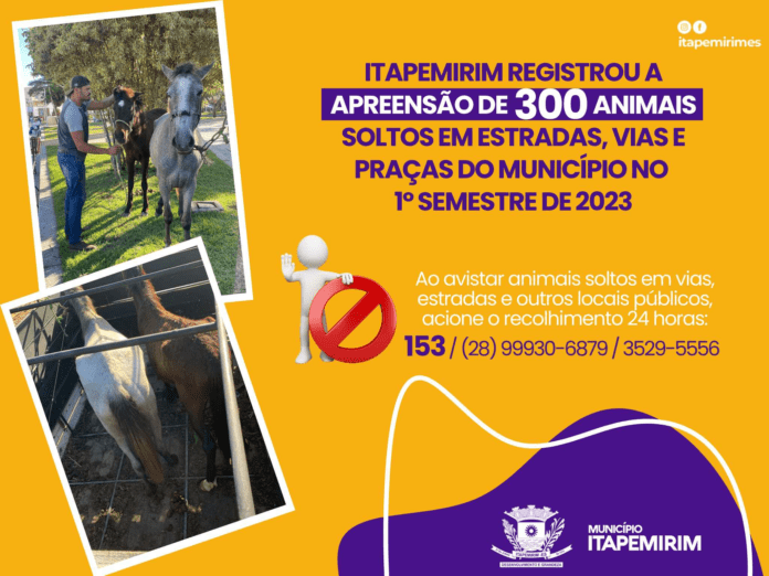 ITAPEMIRIM: QUASE 300 ANIMAIS APREENDIDOS SOMENTE NO PRIMEIRO SEMESTRE DO ANO