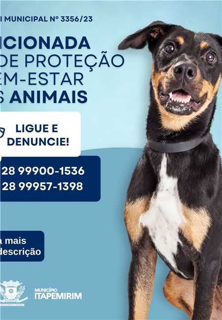  PREFEITO SANCIONA LEI DE PROTEÇÃO E BEM-ESTAR DOS ANIMAIS COM MULTA DE ATÉ 5 MIL PARA MAUS TRATOS