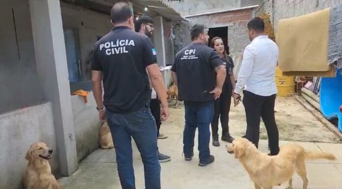 Operação conjunta interdita canil clandestino e resgata 22 animais em Viana