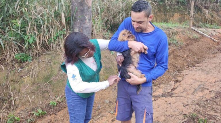 
                    ​Cerca de quatro mil cães e gatos vacinados na zona rural de Vila Velha                
