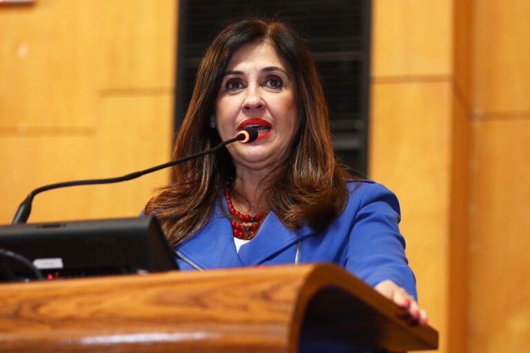 Raquel quer mais rapidez em declaração de utilidade