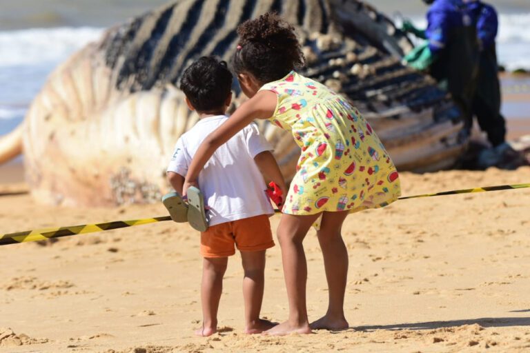 Baleia jubarte encalha na praia e vira atração de turistas e moradores em Vila Velha