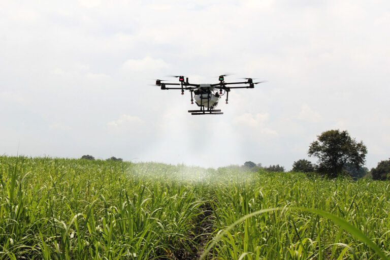Utilização de drones na agricultura divide opiniões