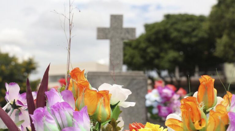 
                    ​Prefeitura de Vila Velha prepara cemitérios para o Dia de Finados                

