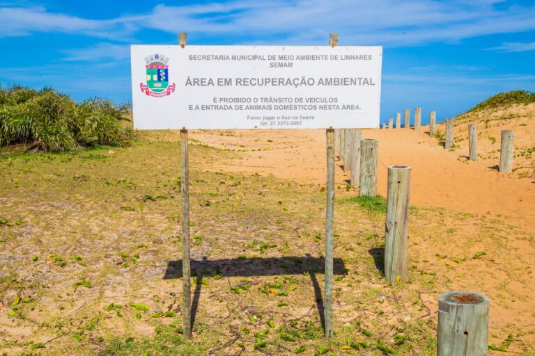 Verão 2024: cuidados com área de restinga devem ser redobrados nesta temporada   		