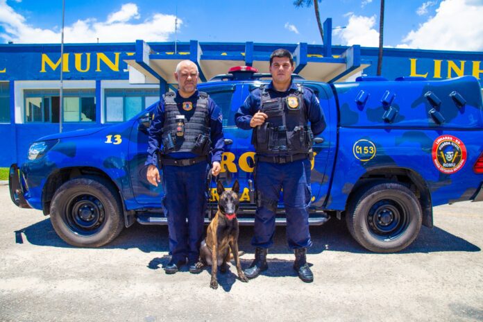 Cristal e Raio: Guarda Municipal recebe primeiros cães para operações com farejadores   		
