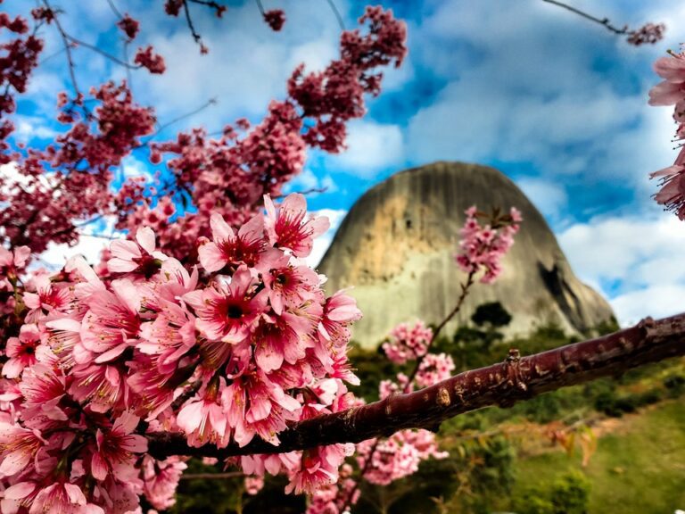 Espírito Santo é premiado como terceiro estado mais acolhedor do Brasil