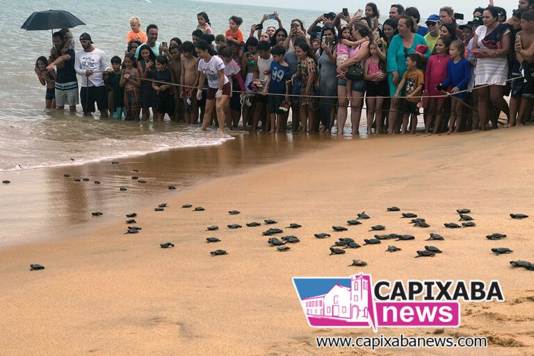 Anchieta: nesta quarta (14) acontece abertura dos ninhos de Tartaruga na Praia de Guanabara